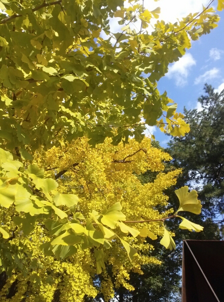 c0113733_21452498.jpg