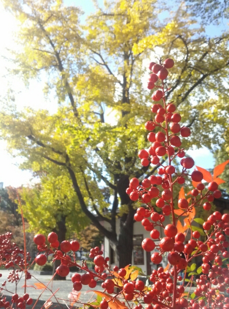 c0113733_2146962.jpg
