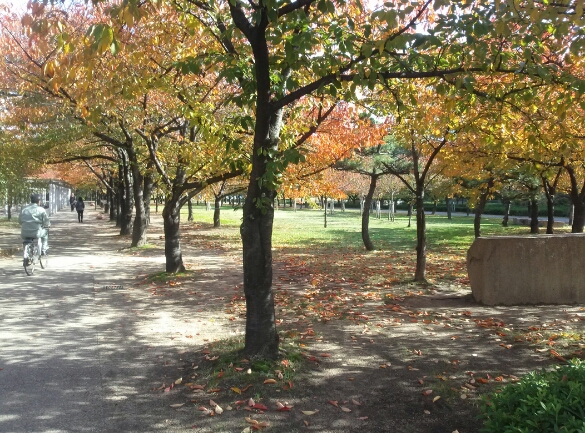 c0113733_21523540.jpg