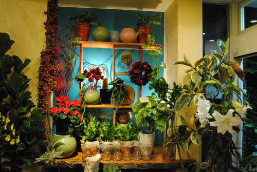 e0200933_20151944.jpg
