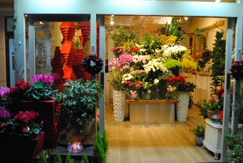e0200933_2015491.jpg