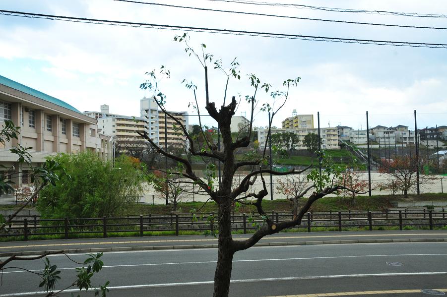 c0142535_1093182.jpg