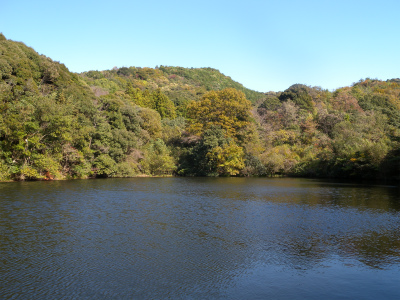 里山歩き（諏訪山＆龍王山）！_e0272335_193759.jpg