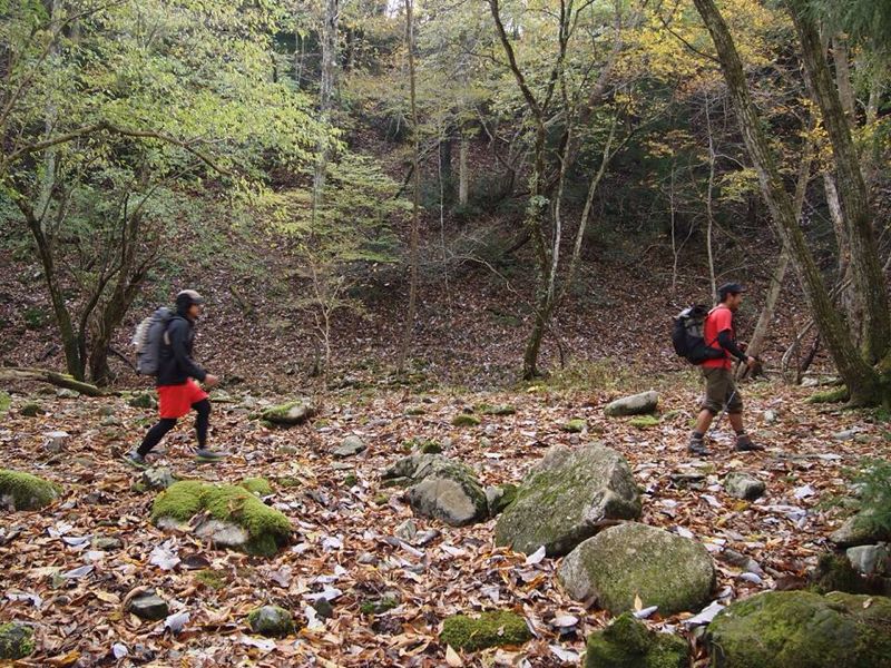 鈴鹿紅葉先取り登山_d0329637_43256.jpg