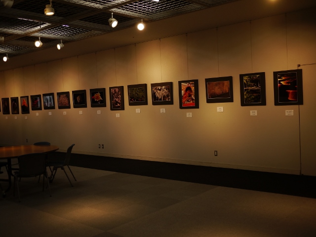 「楽しく写す 仲間たち」写真展_b0190540_7443495.jpg
