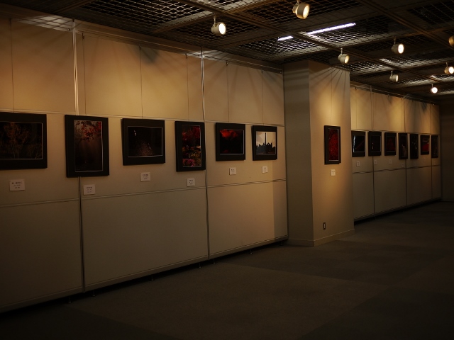 「楽しく写す 仲間たち」写真展_b0190540_7444937.jpg