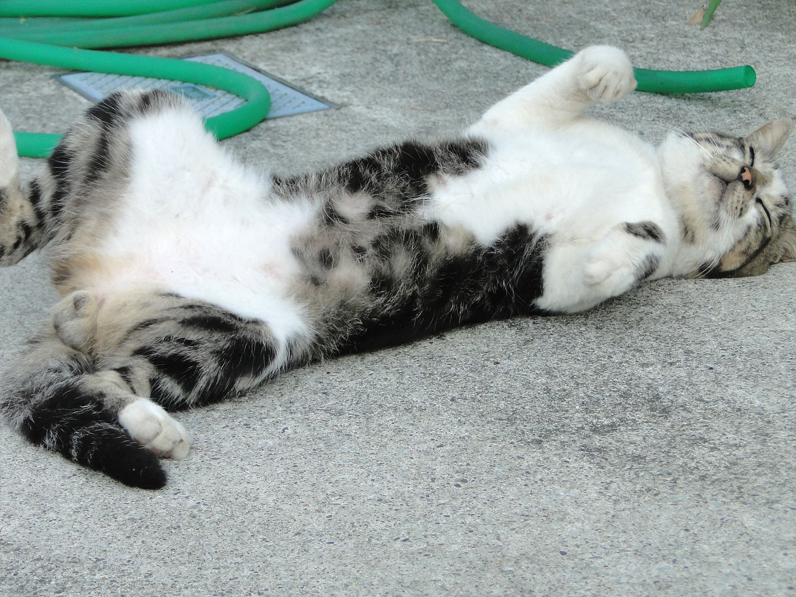 眠くて眠くて・・・(T_T)_b0298740_2258639.jpg