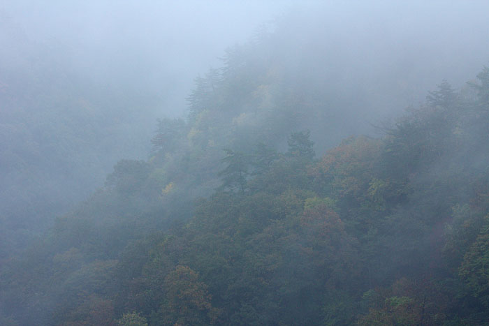 雨の番屋峠_c0067040_20171925.jpg