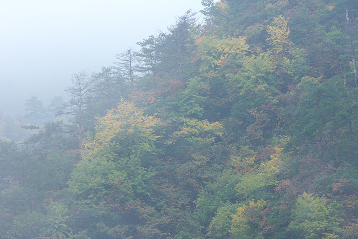 雨の番屋峠_c0067040_2020125.jpg