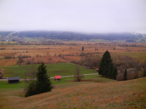 e0194142_862120.jpg