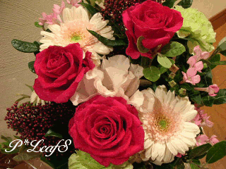 c0176651_1954061.gif