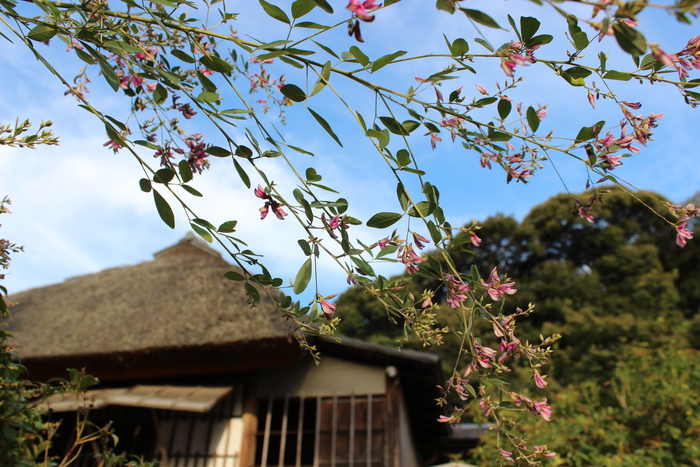 高台寺_e0232054_0263398.jpg