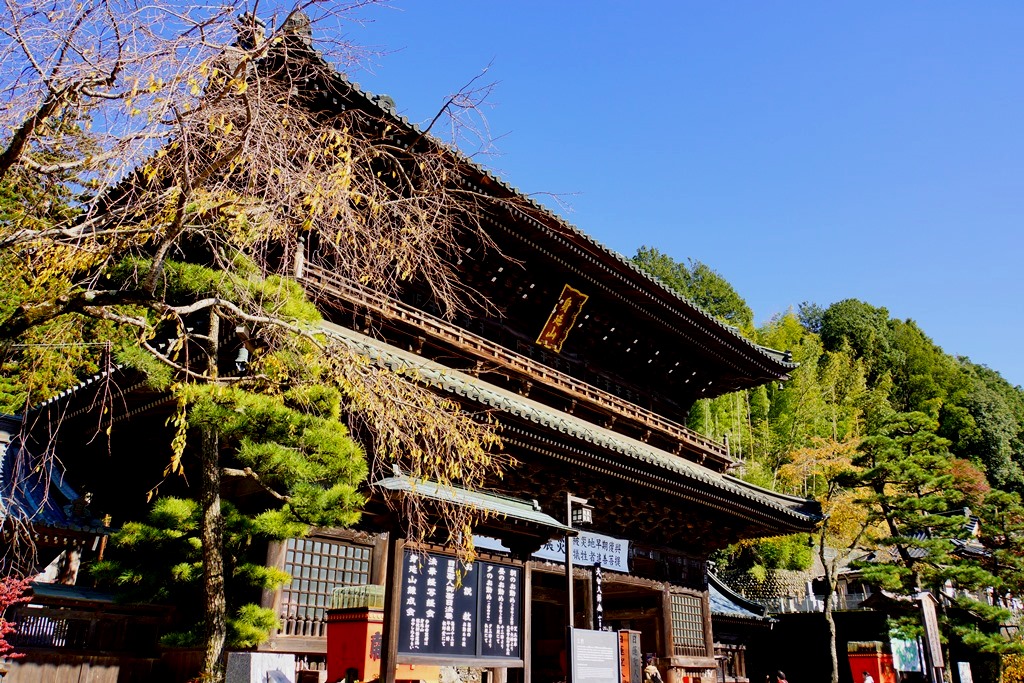 temple（山梨県南巨摩郡身延町　身延山・久遠寺）_e0223456_8395079.jpg