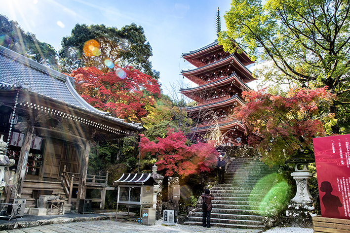 四国霊場五台山竹林寺の紅葉です 四国の山村と自然を撮る
