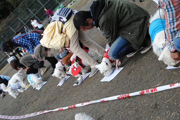 b0242873_0351554.png
