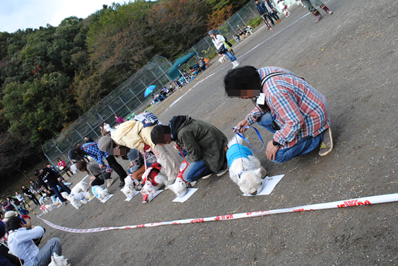 b0242873_035815.png