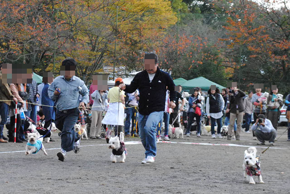 b0242873_052879.png