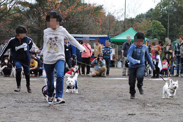 b0242873_0563268.png
