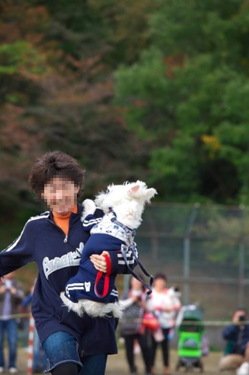 b0242873_127227.png