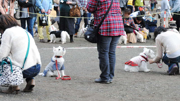 b0242873_140165.png