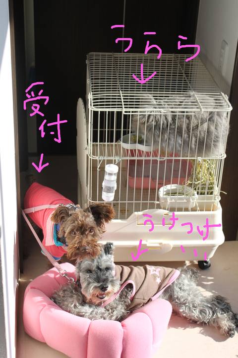 受け付けオールスターズ☆_c0245679_20252198.jpg