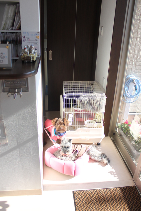 受け付けオールスターズ☆_c0245679_20474066.jpg