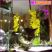 b0181081_65366.gif