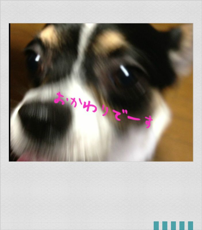 f0248782_15363084.jpg