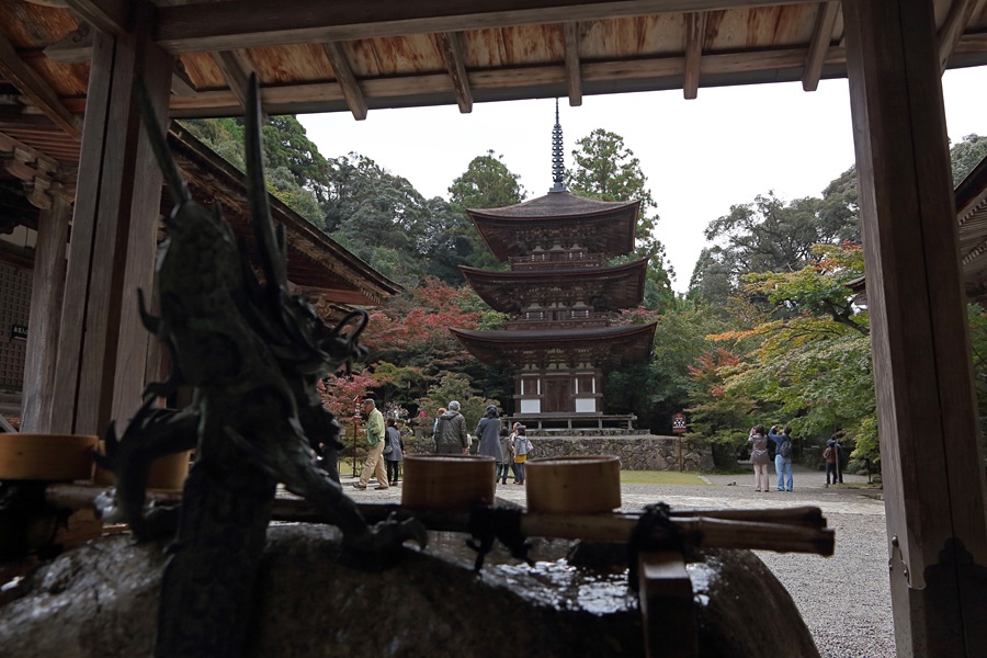 2013.11.09：八風街道～金剛輪寺～西明寺に秋の彩りを探して７ _c0007190_20523754.jpg