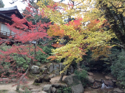 紅葉の見ごろ_a0233991_21062659.jpg