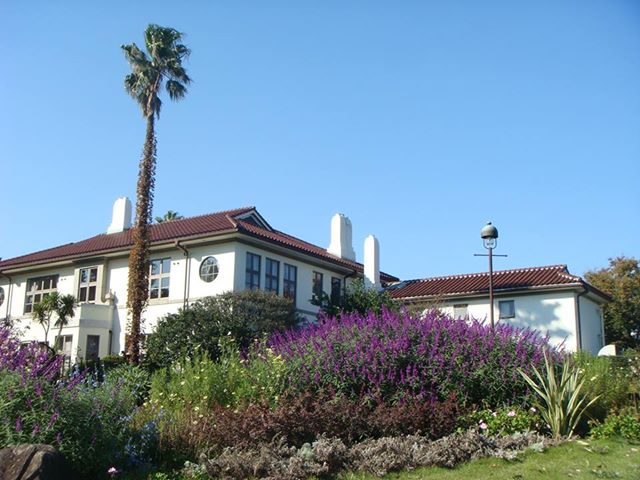 d0099791_122163.jpg