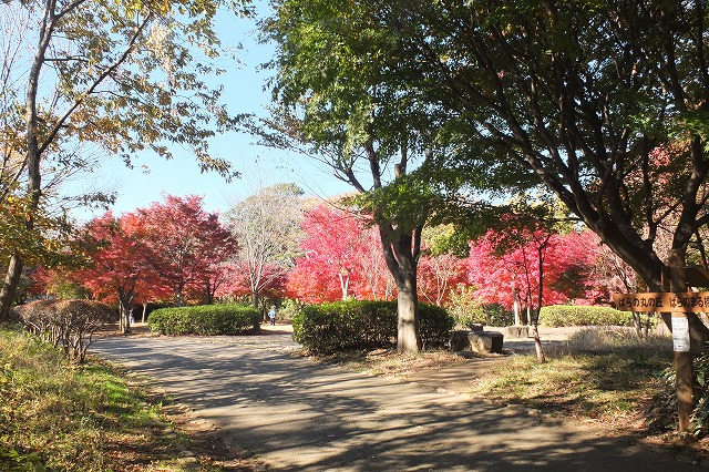 e0070891_20594930.jpg