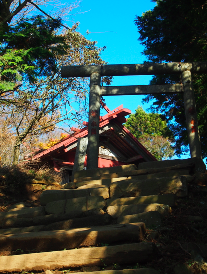 大山ハイキング２０１３　〜その２・登山道〜_a0146493_23275743.png