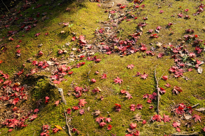 a0206496_11213745.jpg