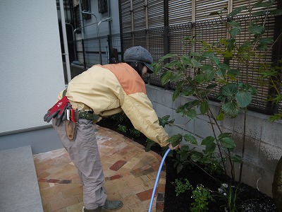 2013年 河内長野市の庭_a0233896_18482592.jpg