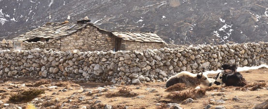 e0111396_1401134.jpg