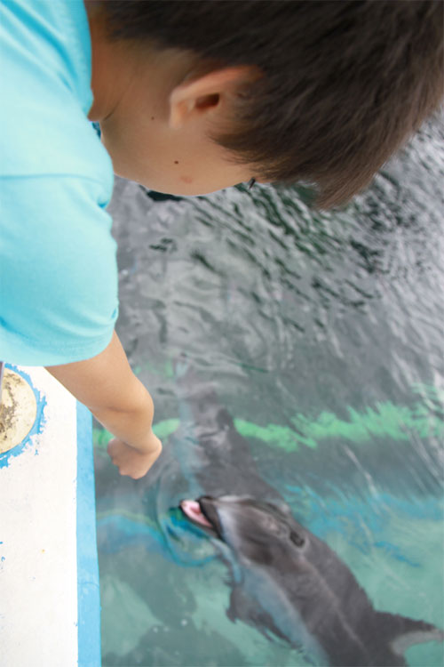 2013-07-29　のとじま水族館_f0217896_15251739.jpg