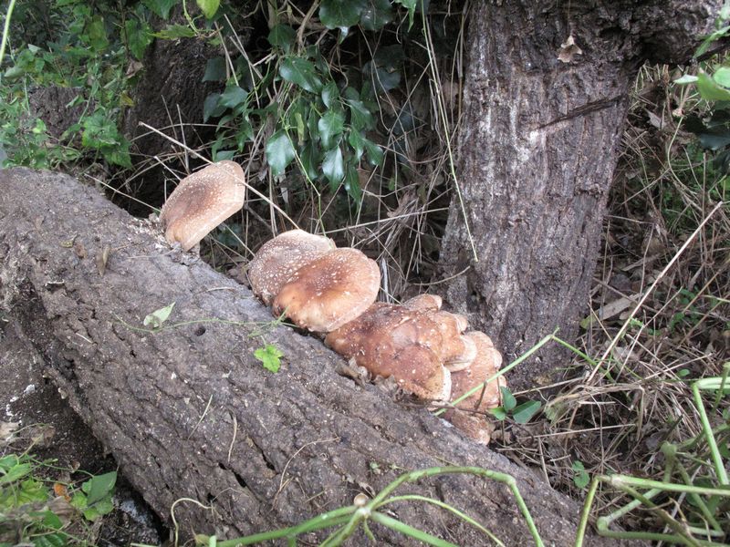 f0059498_17275240.jpg