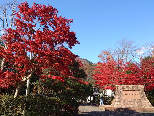 紅葉狩り_b0160300_22535469.jpg