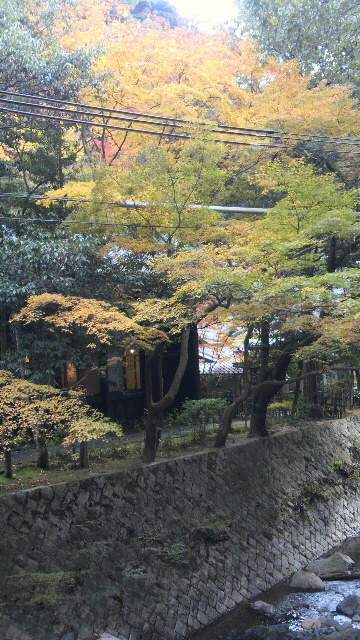 c0123400_1238110.jpg