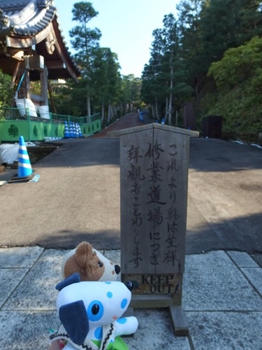 f0256400_8343156.jpg