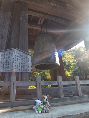 ［ぬいぐるみのお出かけ］つれつれちゃんの。お出かけ日誌。_f0256400_8343538.jpg