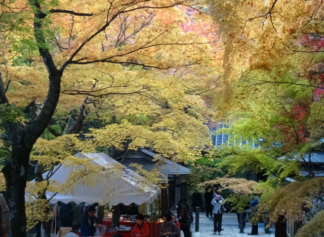 c0125501_7574295.jpg