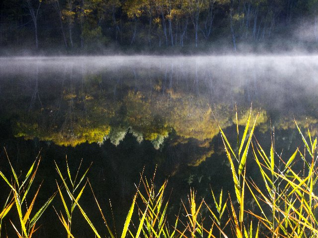 c0008502_19321860.jpg