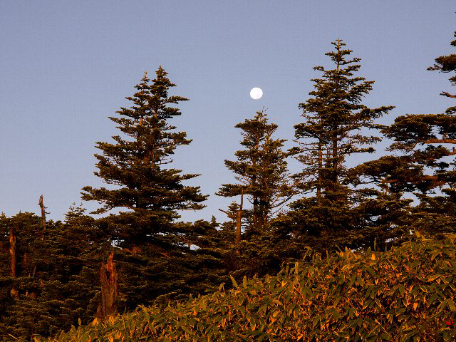 c0008502_2031953.jpg