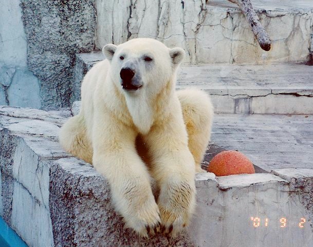 c0155902_19432430.jpg