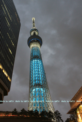 e0205502_19554856.jpg