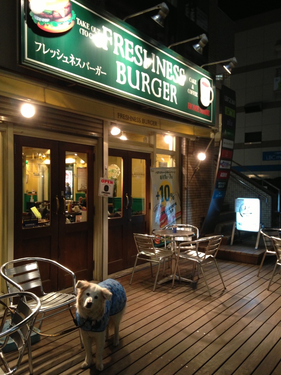 フレッシュネスバーガー　仙川店_a0032004_15344598.jpg