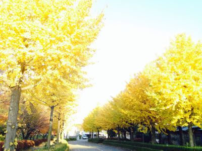 e0061304_23314691.jpg
