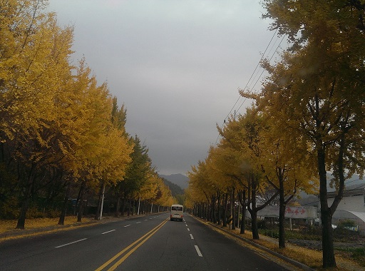 a0140305_23581492.jpg